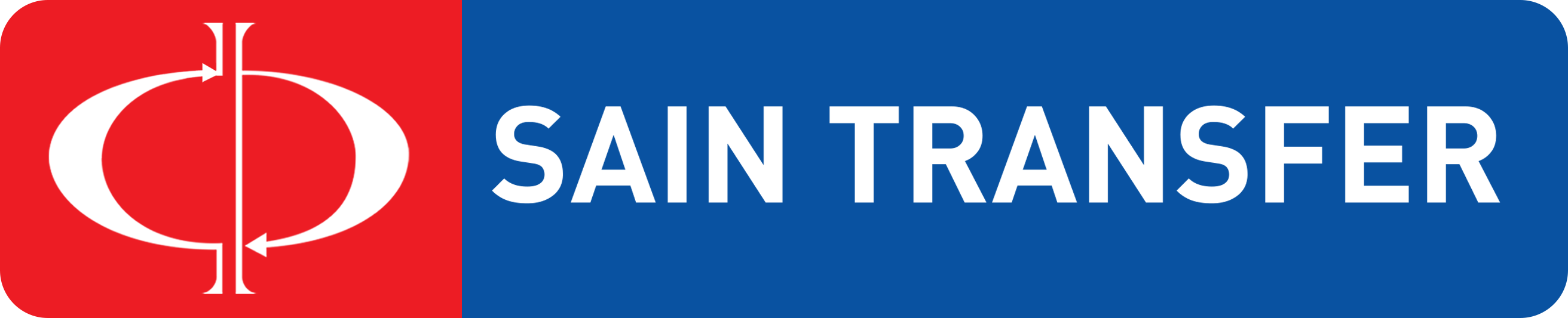 Sain Logo